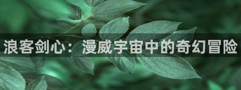 51动漫破解版下载大全