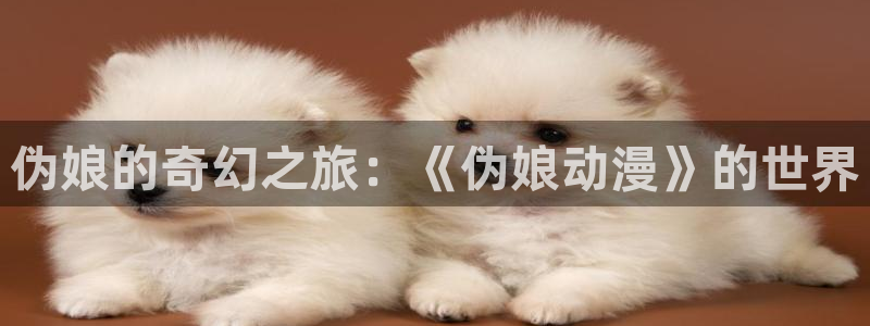 51动漫漫画在线观看