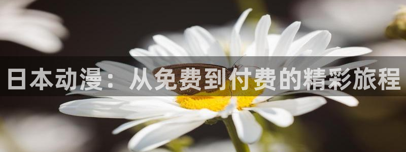 51动漫官网在线
